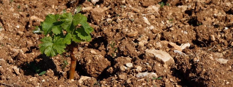 a89ed6_6bcc3d61b9a346f49650756a78fa03d0