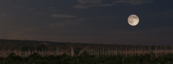 SonAlegreFullMoon10August2014