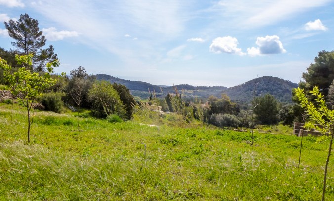 Earty Day Mallorca -1