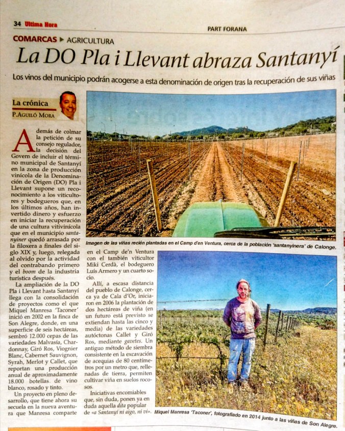 Son Alegre, DO Pla i Llevant