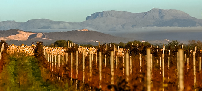 son-alegre-dormition-4