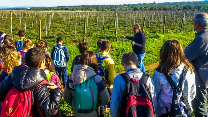 Son Alegre _ future 2