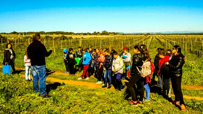 Son Alegre _ future 4