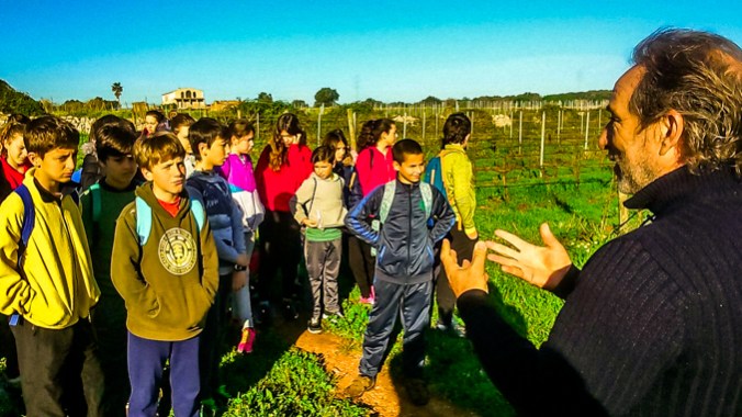 Son Alegre _ future 6