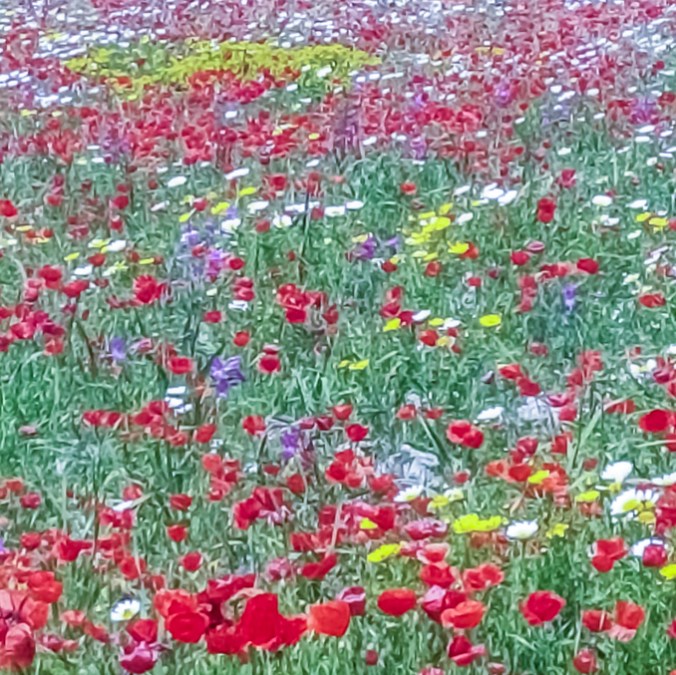 Son Alegre _ future 8